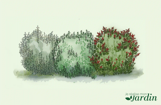 Composition ‘Intimité et verdure’